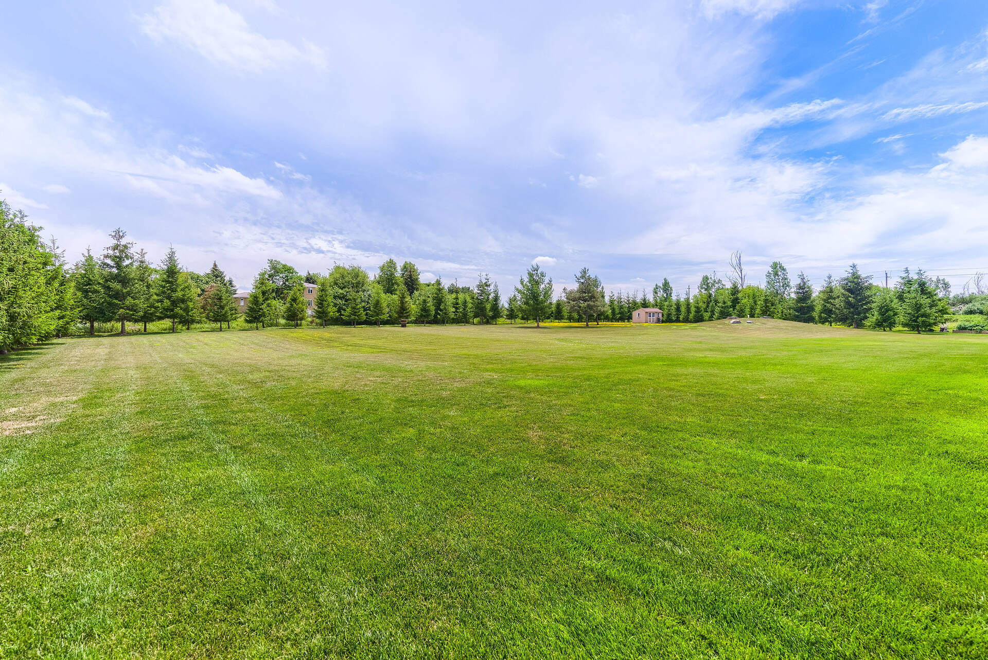 28 Morris Court, Brampton - photo 123