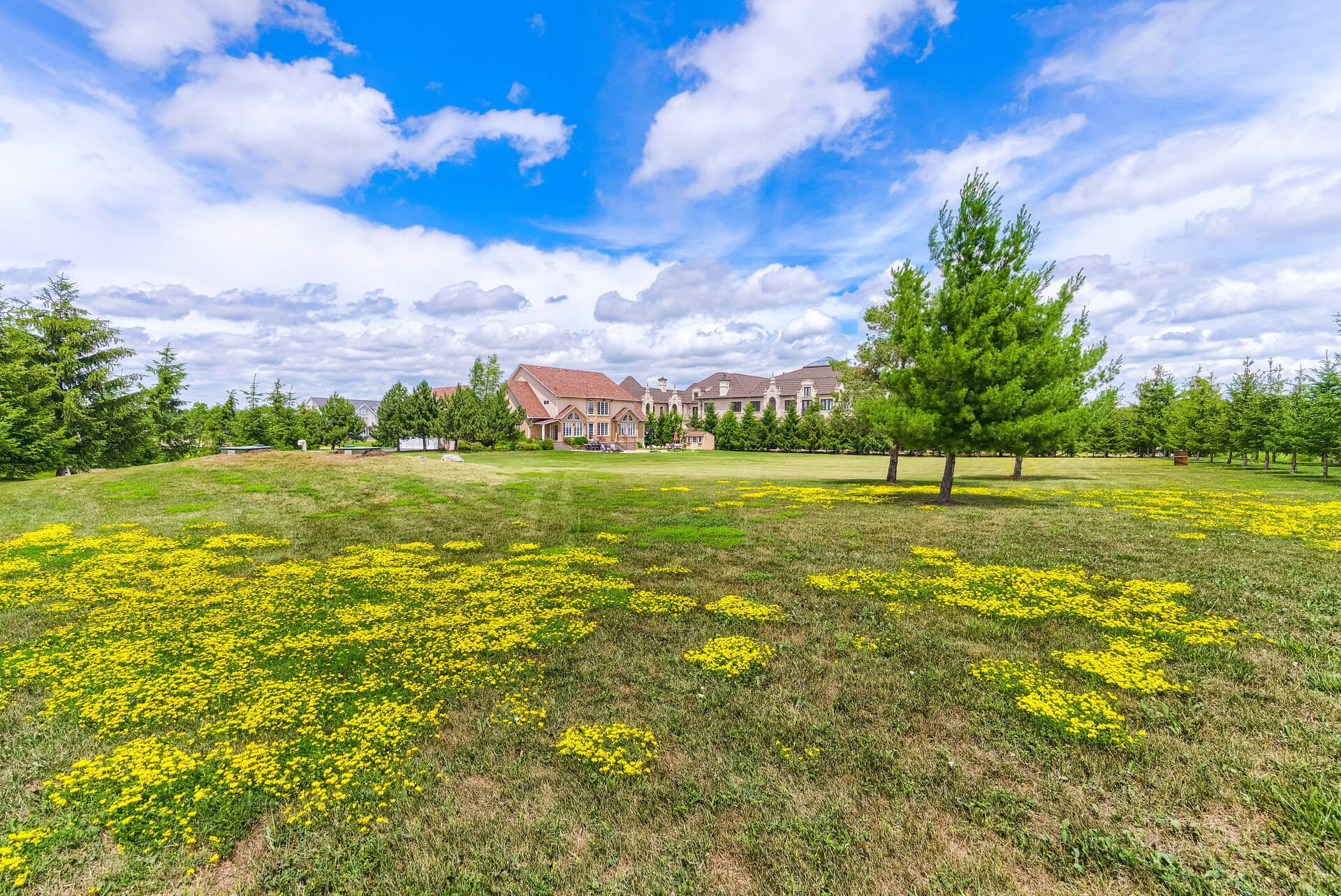 28 Morris Court, Brampton - photo 127
