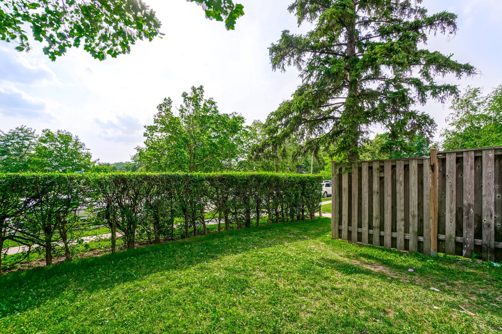 #33-19 Tealham Drive, Etobicoke - photo 34
