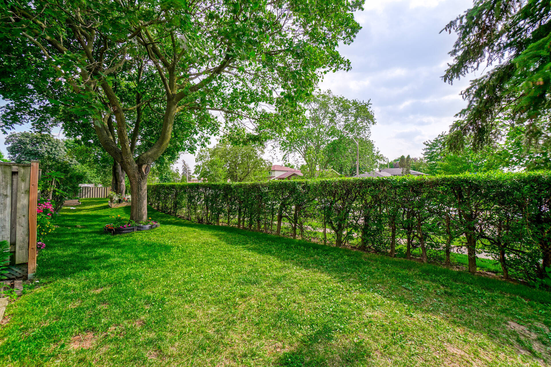 #33-19 Tealham Drive, Etobicoke - photo 35
