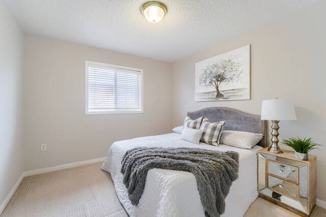 13 Zimmer Street, Brampton - photo 35