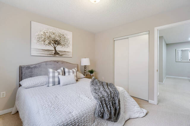13 Zimmer Street, Brampton - photo 36