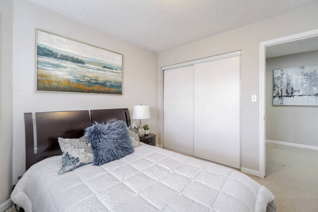 13 Zimmer Street, Brampton - photo 38