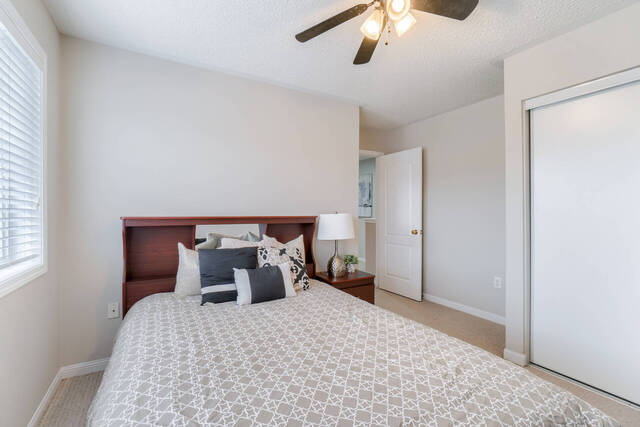 13 Zimmer Street, Brampton - photo 40