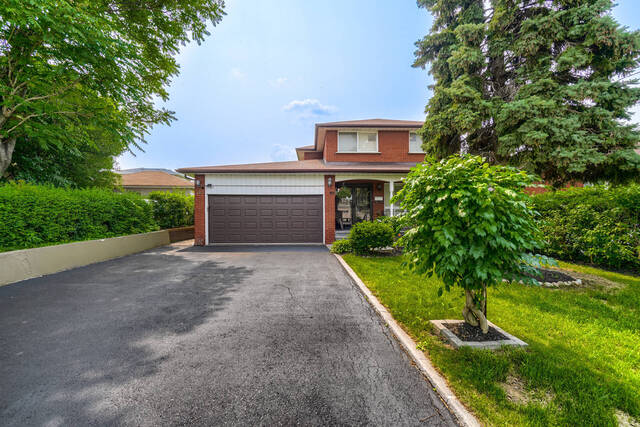 187 Falstaff Avenue, North York - photo 4