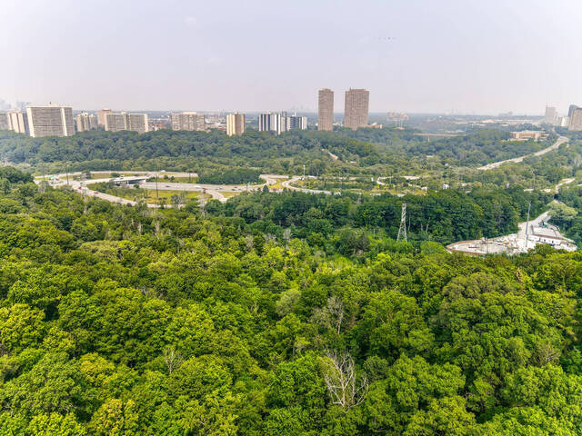 39 Lankin Boulevard, Toronto - photo 102