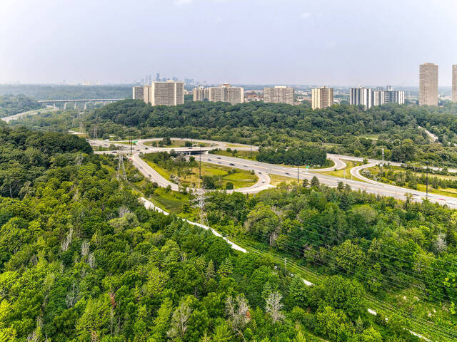 39 Lankin Boulevard, Toronto - photo 103