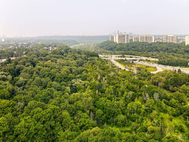 39 Lankin Boulevard, Toronto - photo 104